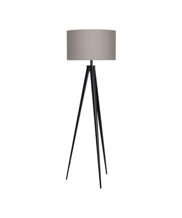 Proin consequat dolor light